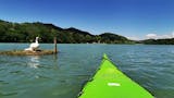 krajinski-park-mariborsko-jezero_junij-2020_karmen-razlag-1